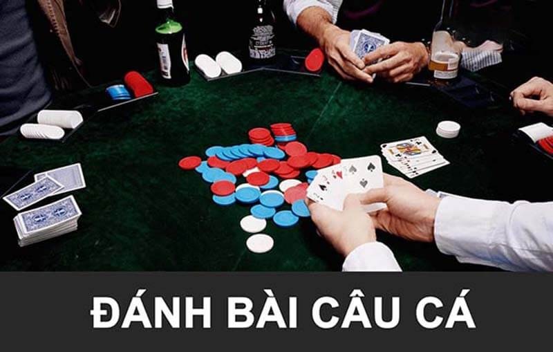 bai cau ca 2 Ưu Đãi Hấp Dẫn Khi Chơi Bài Câu Cá Tại Fun88